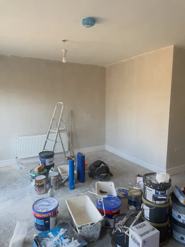 New Builds work by Scott Long Painting and Decorating in Cork
